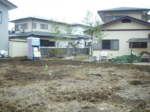 昨日に比べて今日は・・・・